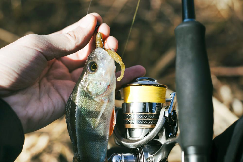 Pesca en Rosario: Descubre el Paraná